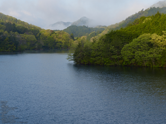 室生湖の新緑_2013yaotomi_2s.jpg