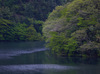 室生湖の新緑_2013yaotomi_8f.jpg