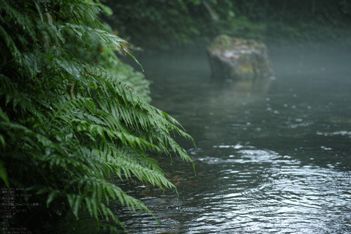 天の真名井の6月_2013yaotomi_10s.jpg