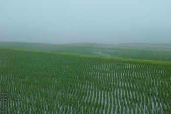 鳥取県道36号線明間_2013yaotomi_6s.jpg