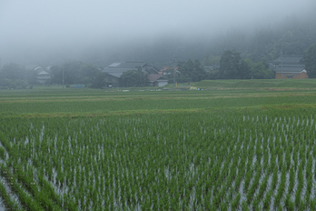 鳥取県道36号線明間_2013yaotomi_7s.jpg