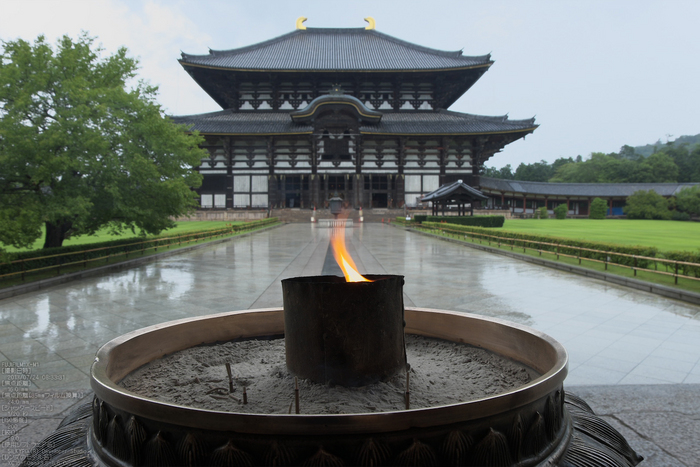 FUJIFILM,X-M1_2013yaotomi_東大寺_11s.jpg