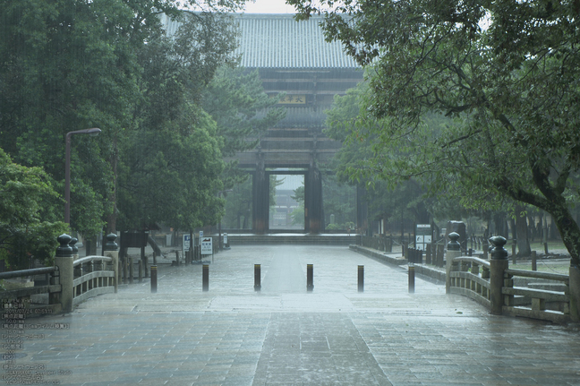 FUJIFILM,X-M1_2013yaotomi_東大寺_1s.jpg