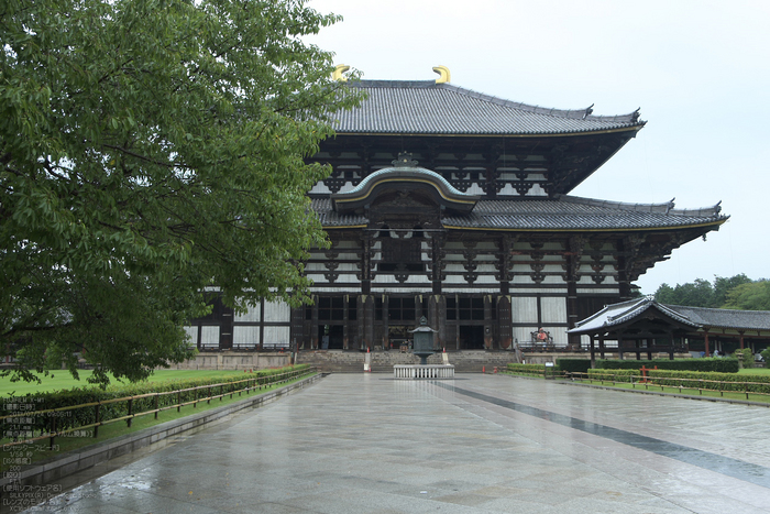 FUJIFILM,X-M1_2013yaotomi_東大寺_21s.jpg