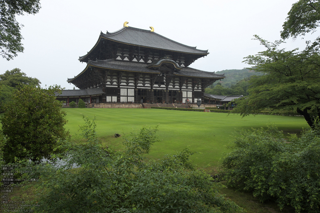 FUJIFILM,X-M1_2013yaotomi_東大寺_8s.jpg