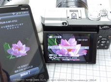 FUJIFILM,カメラアプリ_2013yaotomi_27.jpg