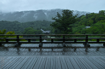 長谷寺の紫陽花_2013yaotomi_30s.jpg