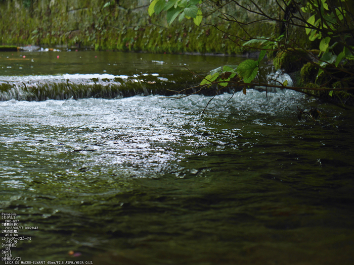 Panasonic-GX7_2013yaotomi_醒ヶ井・梅花藻_5s.jpg