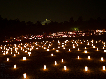 奈良・なら燈花会_2013yaotomi_11s.jpg