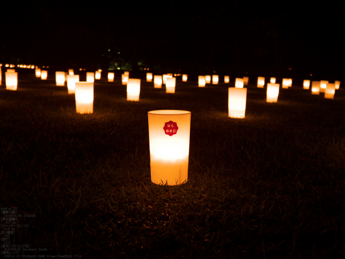 奈良・なら燈花会_2013yaotomi_15s.jpg