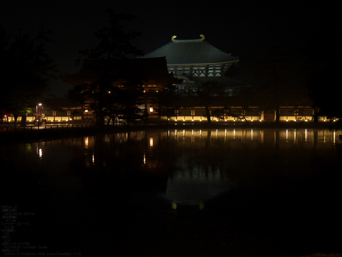 奈良・なら燈花会_2013yaotomi_7s.jpg