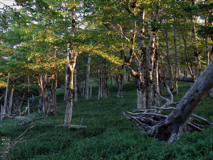 日の出_大台ケ原_2013yaotomi_10s.jpg