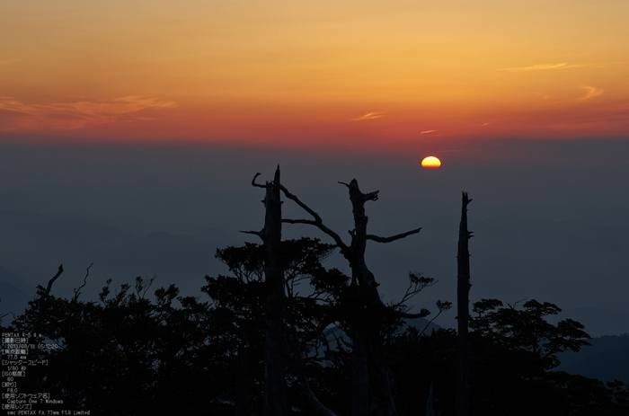 日の出_大台ケ原_2013yaotomi_3s.jpg