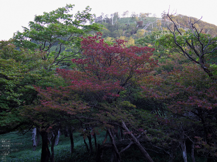 日の出_大台ケ原_2013yaotomi_7s.jpg