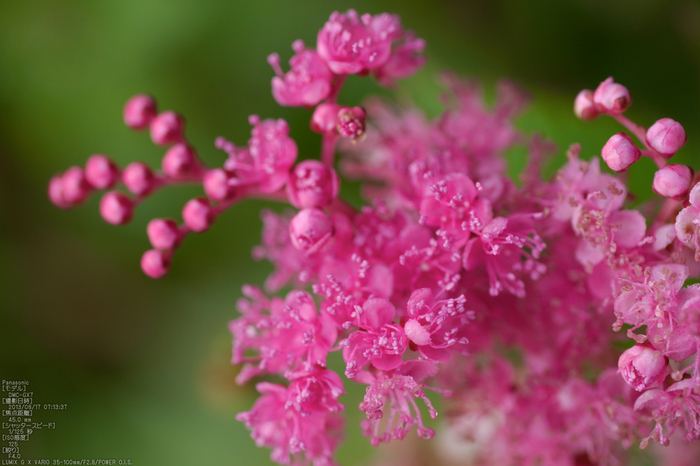 Panasonic-GX7_2013yaotomi_伊吹山・朝_23s.jpg