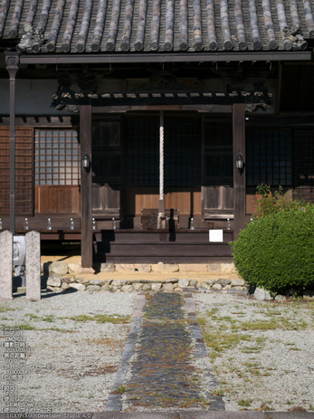 世尊寺,彼岸花_Panasonic,GX7_2013yaotomi_18s.jpg