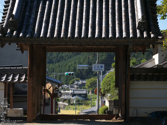 世尊寺,彼岸花_Panasonic,GX7_2013yaotomi_38s.jpg