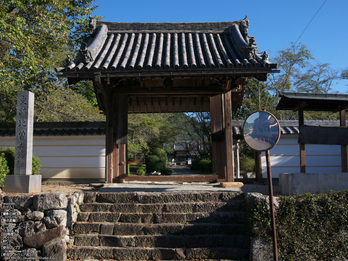 世尊寺,彼岸花_Panasonic,GX7_2013yaotomi_6s.jpg