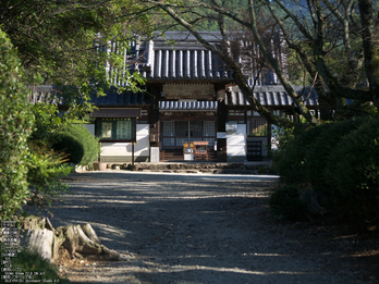 世尊寺,彼岸花_Panasonic,GX7_2013yaotomi_7s.jpg