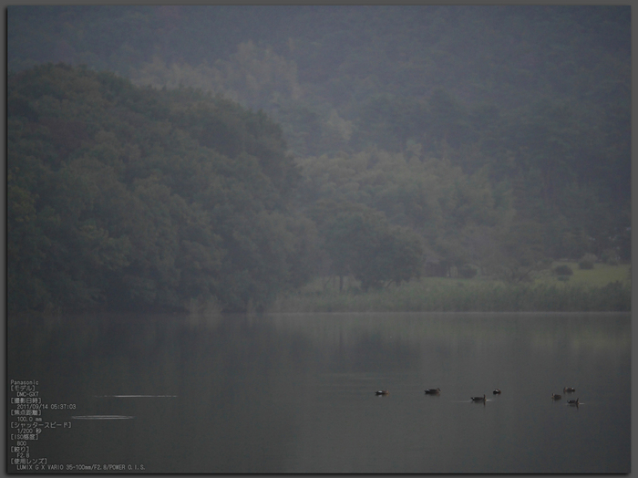 広沢池_Panasonic,GX7_2013yaotomi_1st.jpg