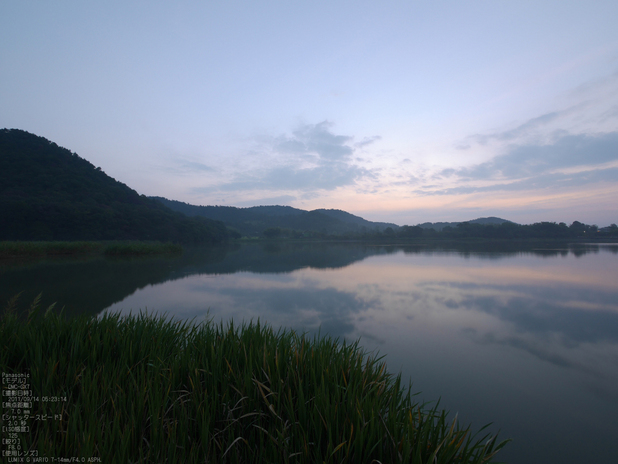 広沢池_Panasonic,GX7_2013yaotomi_2s.jpg