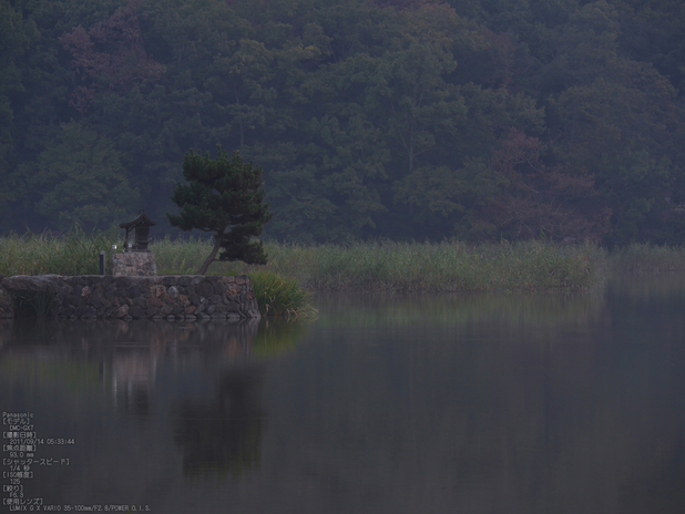 広沢池_Panasonic,GX7_2013yaotomi_3s.jpg