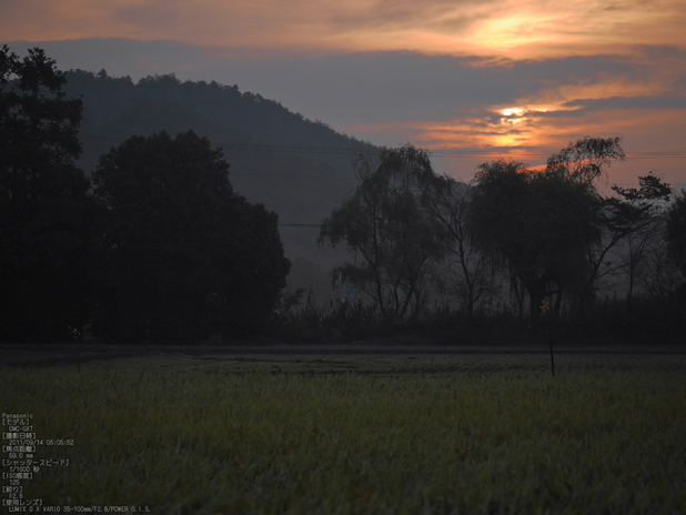 広沢池_Panasonic,GX7_2013yaotomi_8s.jpg