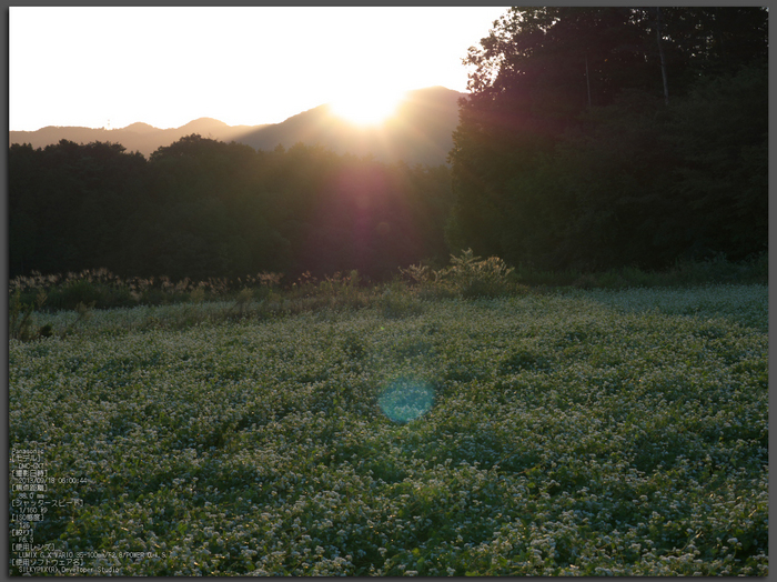 笠,そば畑_PanasonicLumixGX7_2013yaotomi_1st.jpg