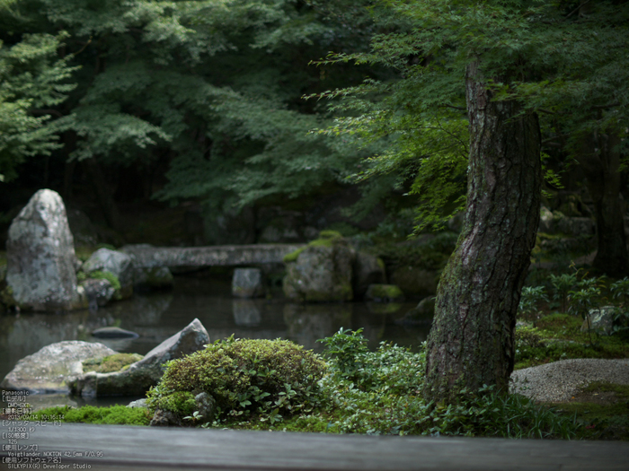 蓮花寺_Panasonic,GX7_2013yaotomi_13s.jpg