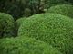 詩仙堂_Panasonic,GX7_2013yaotomi_20full.jpg