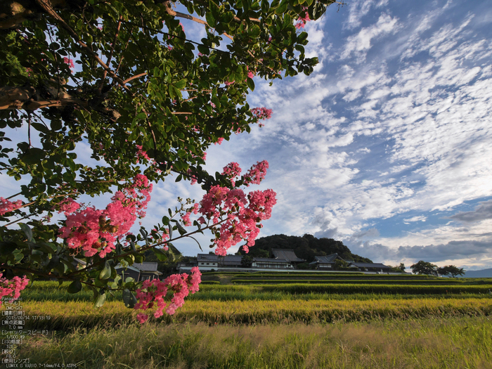 飛鳥光の回廊,2013_Panasonic,GX7_yaotomi_3s.jpg