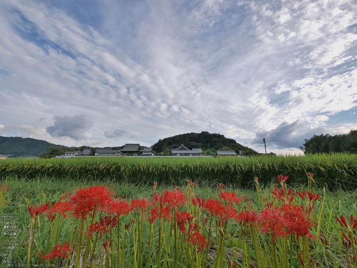 飛鳥光の回廊,2013_Panasonic,GX7_yaotomi_5s.jpg