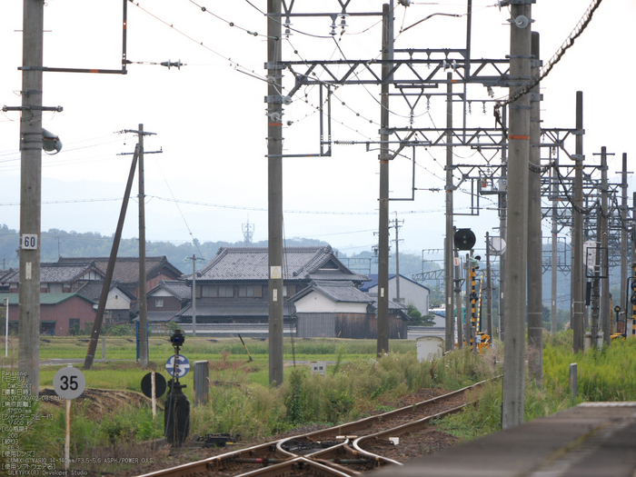 伊賀鉄道,コスモス_2013yaotomi_1s.jpg