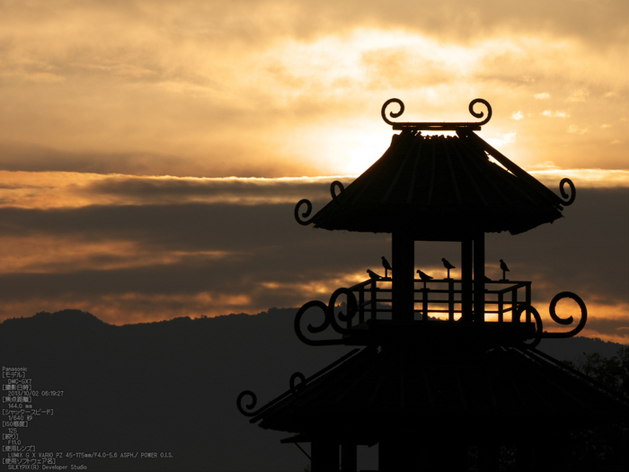 唐古・鍵遺跡,コスモス_2013yaotomi_2s.jpg