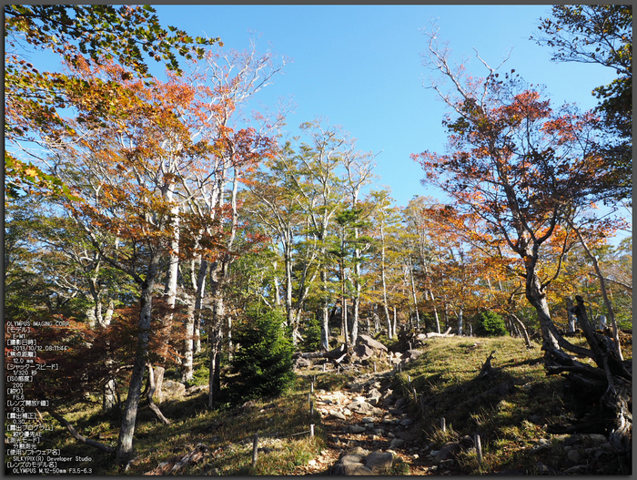 大台ケ原,紅葉_2013yaotomi_1st.jpg