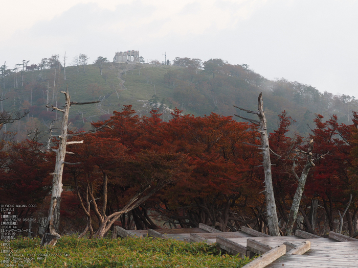 大台ケ原,紅葉_2013yaotomi_OMD,EM1_10s.jpg