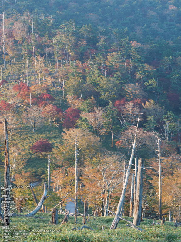 大台ケ原,紅葉_2013yaotomi_OMD,EM1_11s.jpg