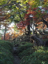 大台ケ原,紅葉_2013yaotomi_OMD,EM1_18full.jpg