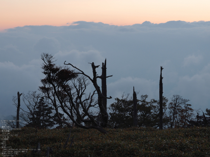 大台ケ原,紅葉_2013yaotomi_OMD,EM1_3s.jpg