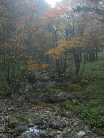 大台ケ原,紅葉_2013yaotomi_OMD,EM1_b3.jpg