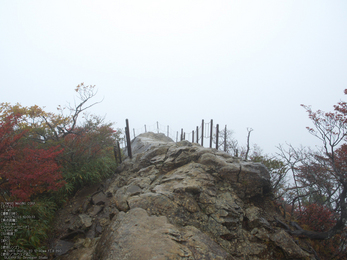 大台ケ原,紅葉_2013yaotomi_OMD,EM1_b33.jpg