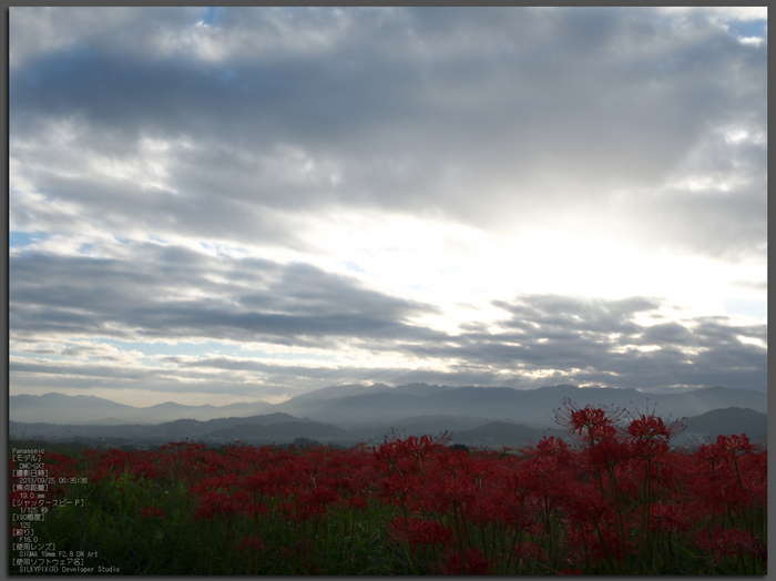 葛城古道,彼岸花_PanasonicGX7,2013yaotomi_1st.jpg