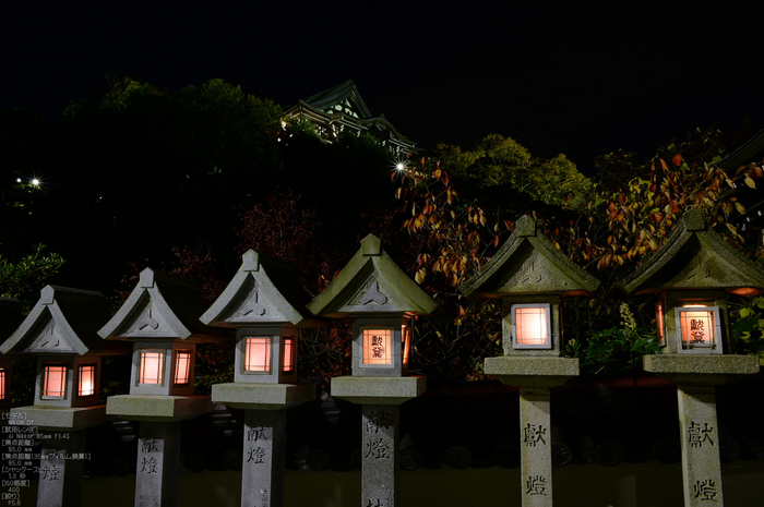 Nikon,Df_Ai_朝護孫子寺・紅葉_2013yaotomi_11s.jpg