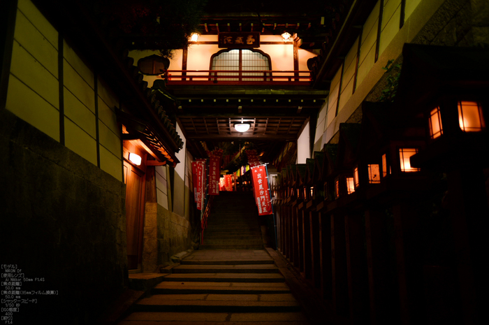 Nikon,Df_Ai_朝護孫子寺・紅葉_2013yaotomi_23s.jpg