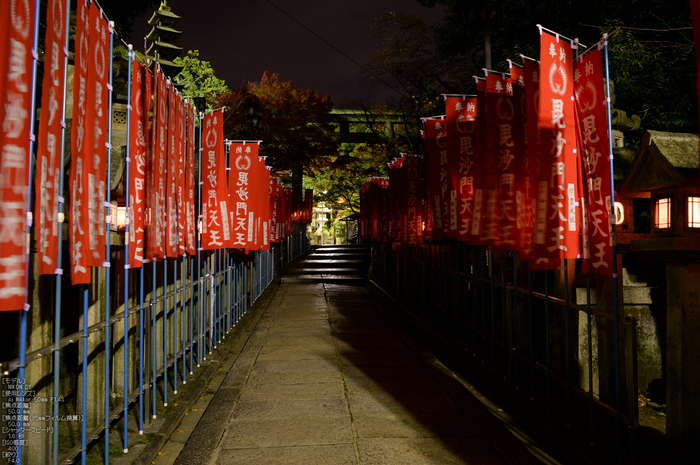 Nikon,Df_Ai_朝護孫子寺・紅葉_2013yaotomi_25s.jpg