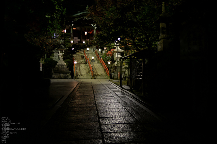 Nikon,Df_Ai_朝護孫子寺・紅葉_2013yaotomi_26s.jpg