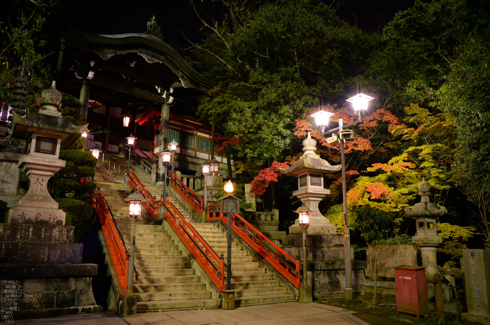 Nikon,Df_Ai_朝護孫子寺・紅葉_2013yaotomi_27s.jpg