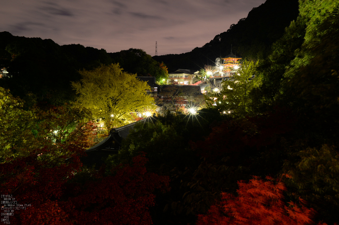 Nikon,Df_Ai_朝護孫子寺・紅葉_2013yaotomi_28s.jpg