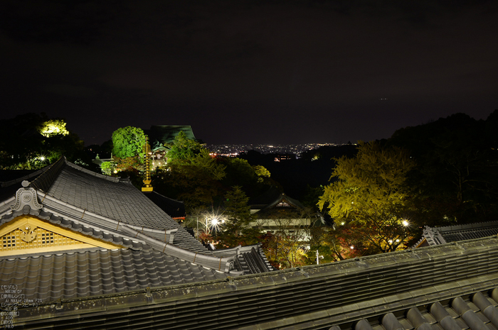 Nikon,Df_Ai_朝護孫子寺・紅葉_2013yaotomi_35s.jpg