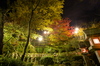 Nikon,Df_Ai_朝護孫子寺・紅葉_2013yaotomi_37full.jpg